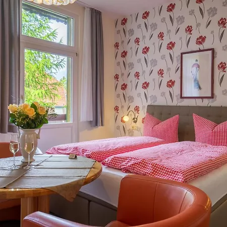 Schweizer Hof Guest house Wernigerode