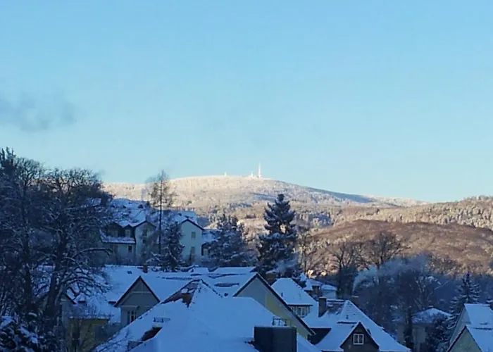 Gæstehus Schweizer Hof